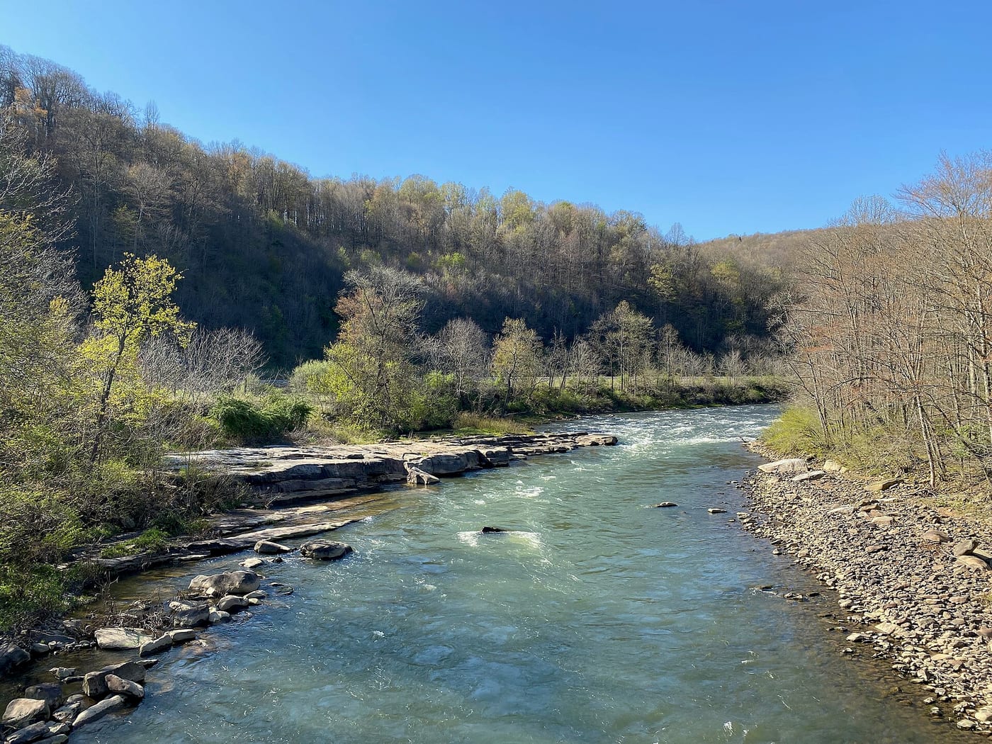 Casselman River: Markleton to Harnedsville