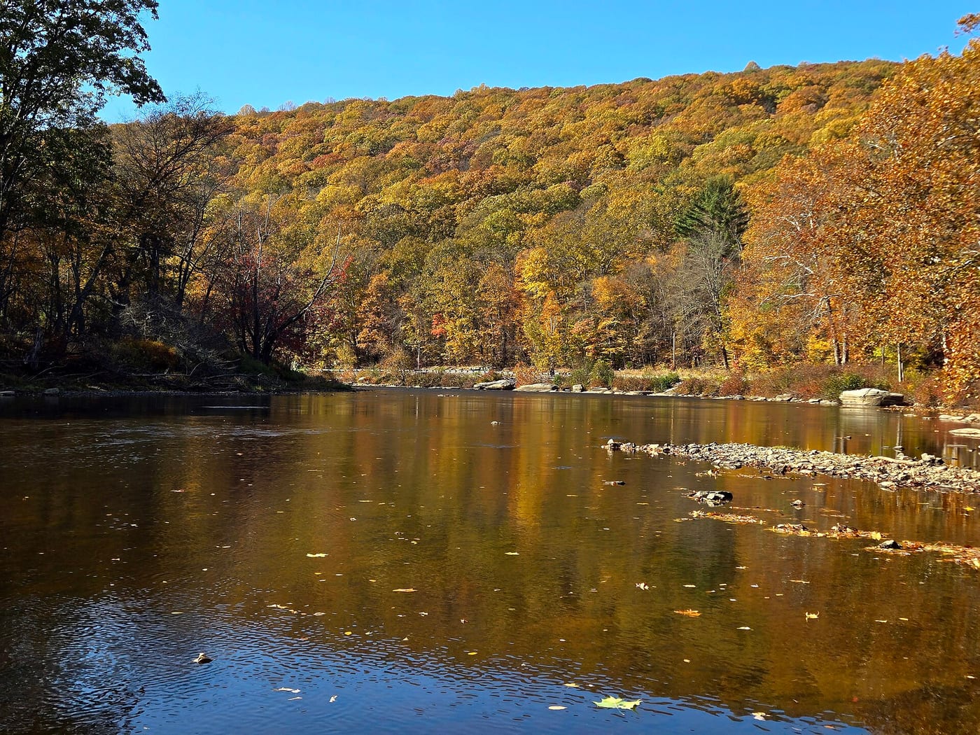 A representative view of Clarion River: Ridgway to Portland Mills